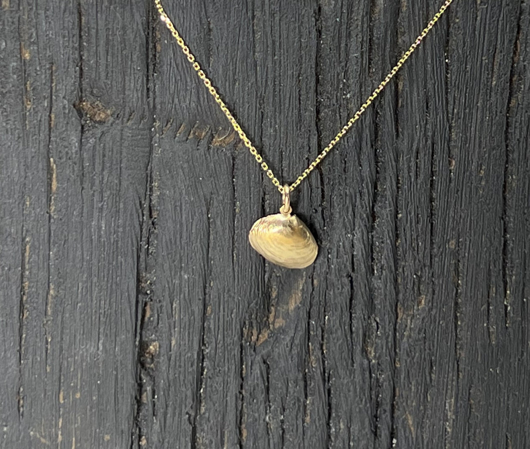 Tiny shell necklace
