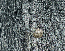 Load image into Gallery viewer, Recycled Gold and Sterling Silver Shell Pendant Necklace – Sourced from Whitstable, Kent